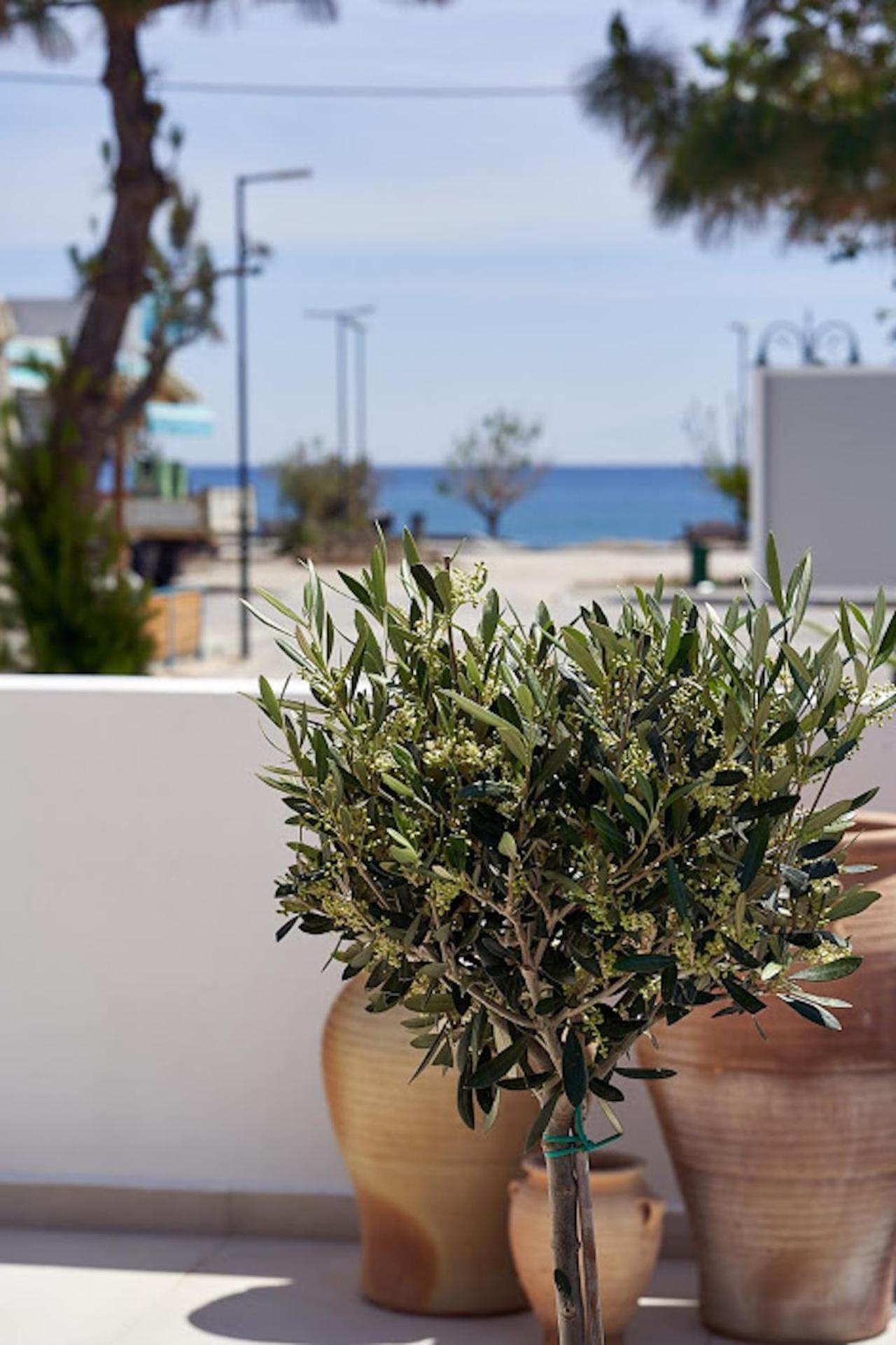 Sia Mare Seaside Apartments Фалираки Номер фото